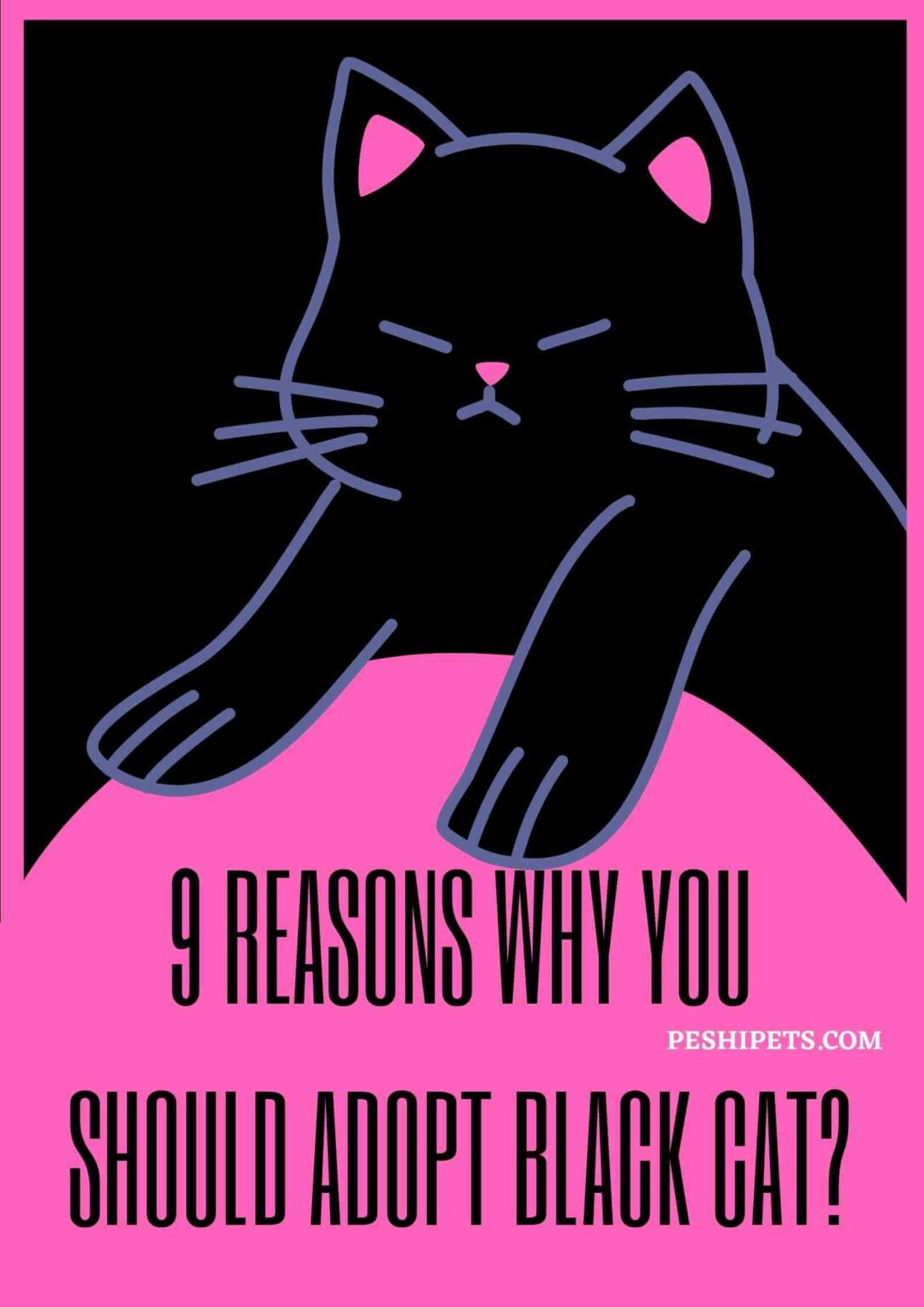 9 Reasons Why You Should adopt a Black cat