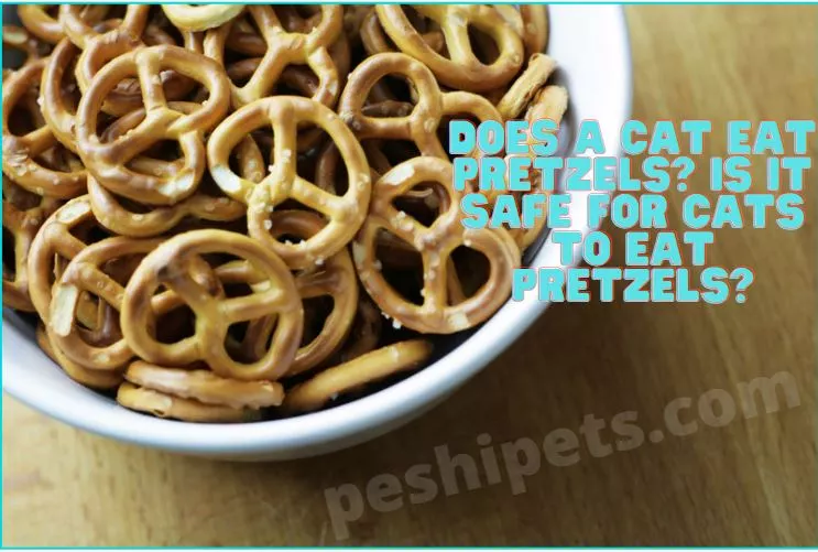 Does A Cat Eat Pretzels