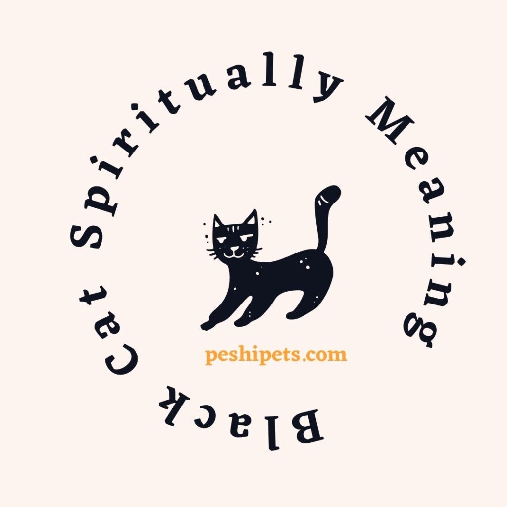 What does a black cat mean spiritually
