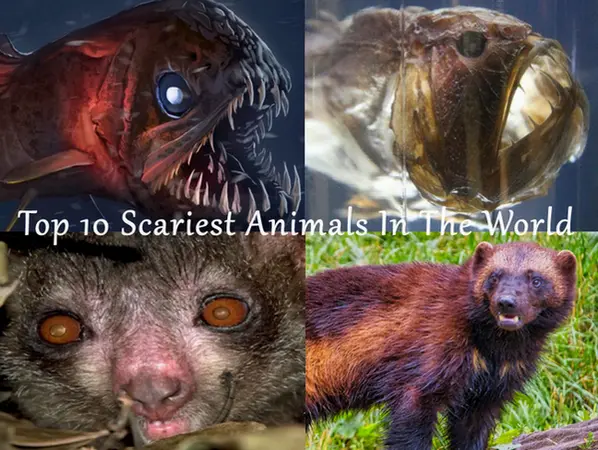 Top 10 Scariest Animals In The World