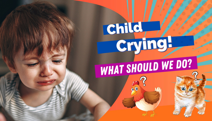 Do Hens and Kittens comfort crying children